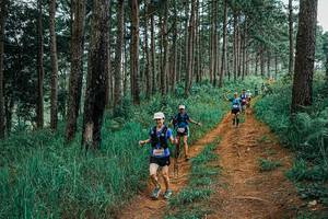 BIB: 
                            <button type="button" onclick="openModal(25659760)" class="btn btn-primary btn-sm float-right btn-popup" data-toggle="modal" data-target=".modal-high-quality">
                        <i class="fas fa-shopping-cart"></i> Add to Cart
                    </button>
                                            <button type="button" onclick="isThisMe(25659760, true)" class="btn btn-success btn-sm float-right btn-popup btn-isme hidden" data-toggle="tooltip" data-placement="bottom" title="นี่คือรูปของคุณใช่ไหม คลิกที่นี่เพื่อเอาเข้าอัลบั้ม">
                        <i class="fas fa-plus"></i> Add to album
                    </button>
                    <button type="button" onclick="isThisMe(25659760, false)" class="btn btn-warning btn-sm float-right btn-popup btn-isnotme hidden">
                        <i class="fas fa-ban"></i> Remove from album
                    </button>